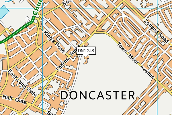 Town Field Primary School map (DN1 2JS) - OS VectorMap District (Ordnance Survey)