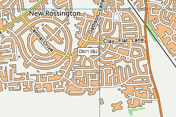 DN11 0BJ map - OS VectorMap District (Ordnance Survey)