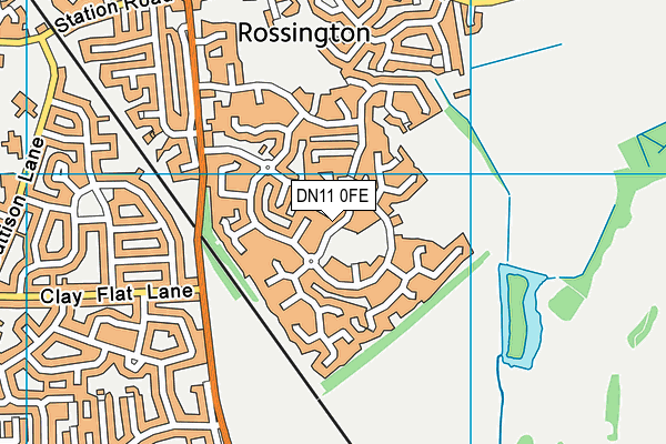 DN11 0FE map - OS VectorMap District (Ordnance Survey)