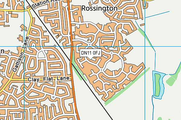 DN11 0FJ map - OS VectorMap District (Ordnance Survey)