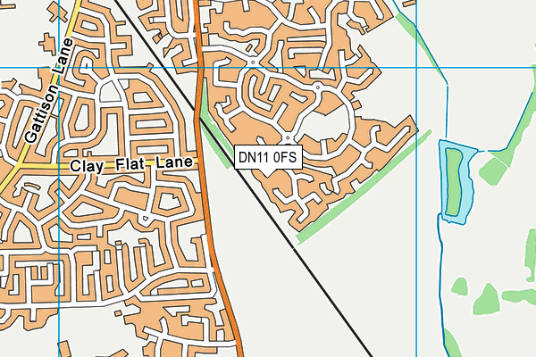 DN11 0FS map - OS VectorMap District (Ordnance Survey)