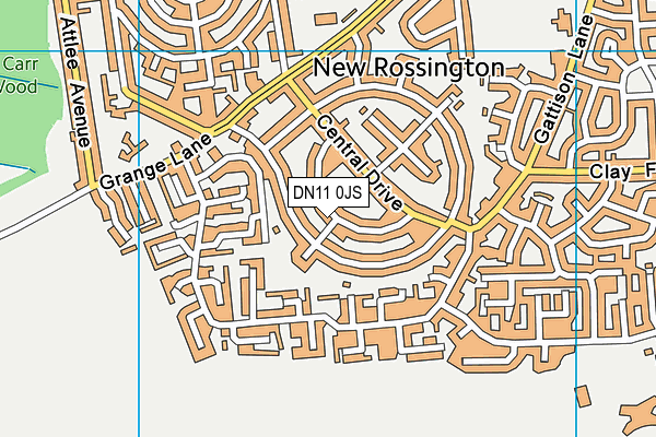 DN11 0JS map - OS VectorMap District (Ordnance Survey)