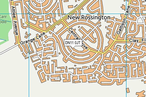 DN11 0JT map - OS VectorMap District (Ordnance Survey)