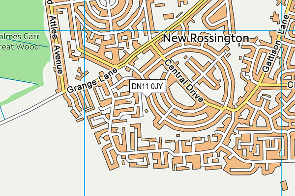 DN11 0JY map - OS VectorMap District (Ordnance Survey)