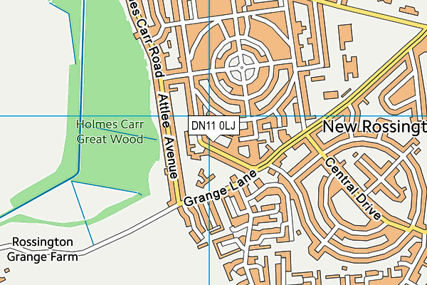 DN11 0LJ map - OS VectorMap District (Ordnance Survey)