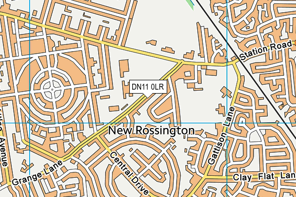 DN11 0LR map - OS VectorMap District (Ordnance Survey)