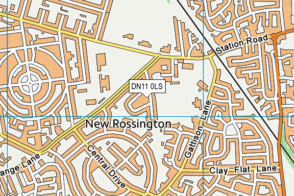 DN11 0LS map - OS VectorMap District (Ordnance Survey)