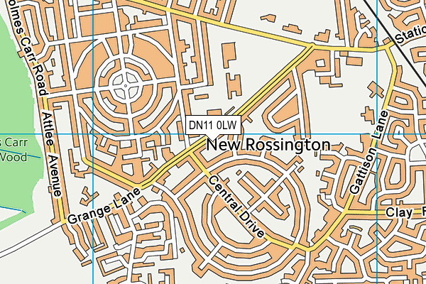 DN11 0LW map - OS VectorMap District (Ordnance Survey)