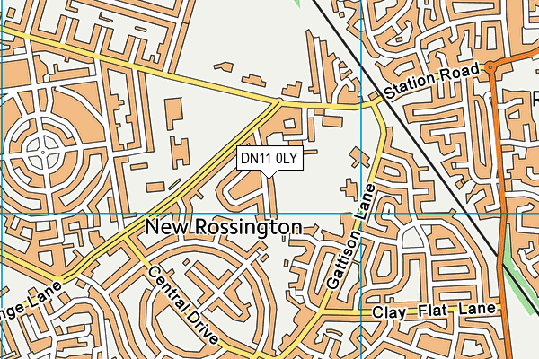 DN11 0LY map - OS VectorMap District (Ordnance Survey)