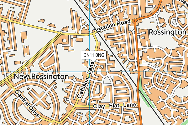 DN11 0NG map - OS VectorMap District (Ordnance Survey)