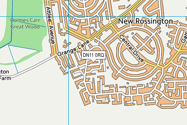 DN11 0RQ map - OS VectorMap District (Ordnance Survey)