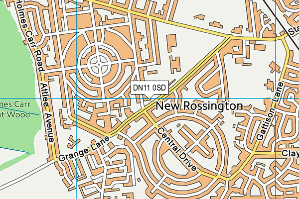 DN11 0SD map - OS VectorMap District (Ordnance Survey)