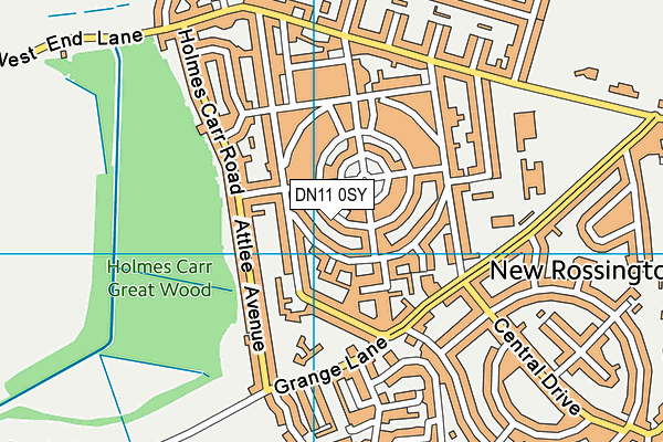 DN11 0SY map - OS VectorMap District (Ordnance Survey)