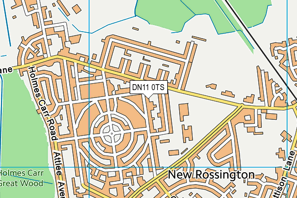 DN11 0TS map - OS VectorMap District (Ordnance Survey)