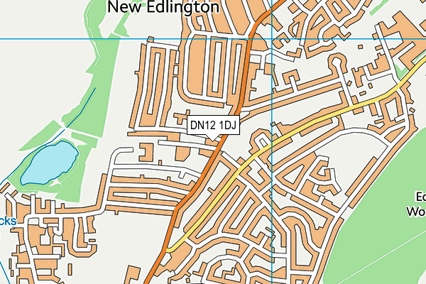 DN12 1DJ map - OS VectorMap District (Ordnance Survey)