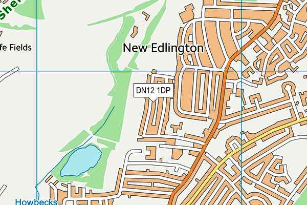 DN12 1DP map - OS VectorMap District (Ordnance Survey)