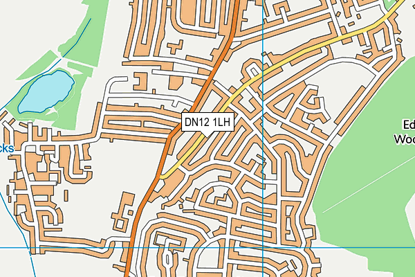 DN12 1LH map - OS VectorMap District (Ordnance Survey)