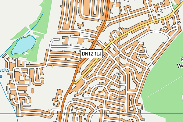 DN12 1LJ map - OS VectorMap District (Ordnance Survey)