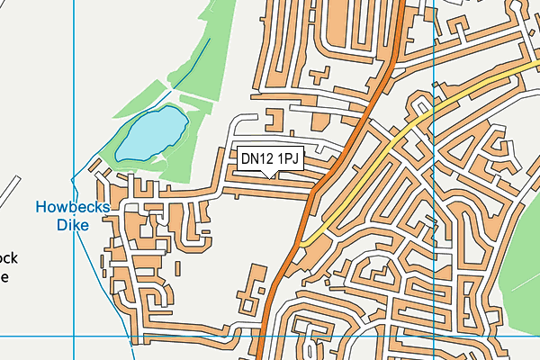 DN12 1PJ map - OS VectorMap District (Ordnance Survey)