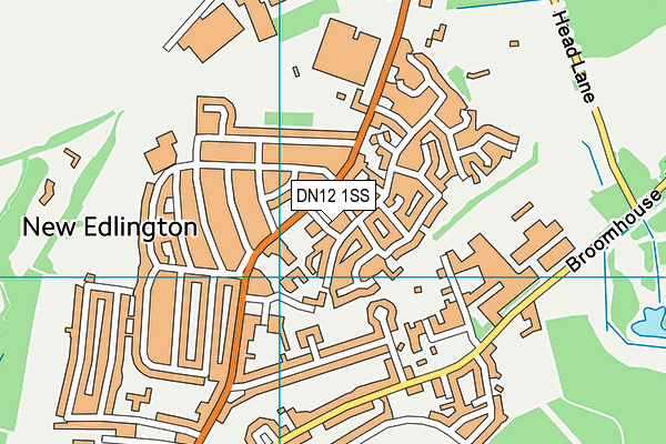 DN12 1SS map - OS VectorMap District (Ordnance Survey)