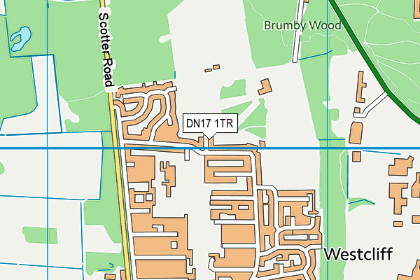 DN17 1TR map - OS VectorMap District (Ordnance Survey)