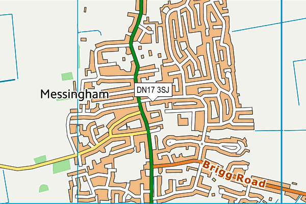 DN17 3SJ map - OS VectorMap District (Ordnance Survey)