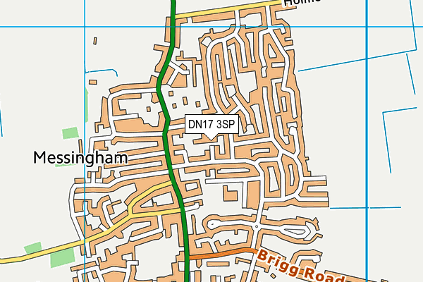 DN17 3SP map - OS VectorMap District (Ordnance Survey)