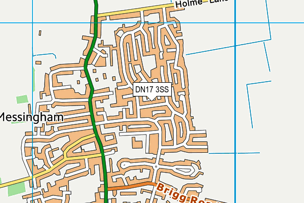 DN17 3SS map - OS VectorMap District (Ordnance Survey)