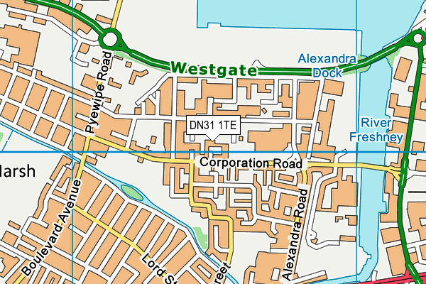 DN31 1TE map - OS VectorMap District (Ordnance Survey)