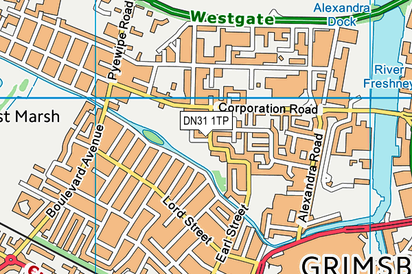 DN31 1TP map - OS VectorMap District (Ordnance Survey)