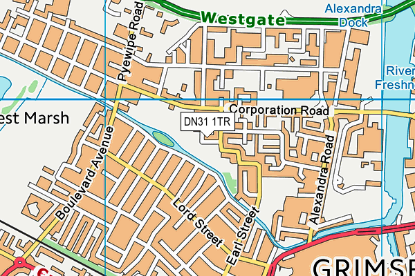 DN31 1TR map - OS VectorMap District (Ordnance Survey)