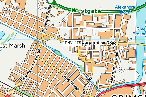 DN31 1TS map - OS VectorMap District (Ordnance Survey)
