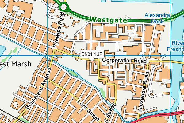 DN31 1UP map - OS VectorMap District (Ordnance Survey)