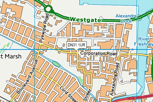 DN31 1UR map - OS VectorMap District (Ordnance Survey)