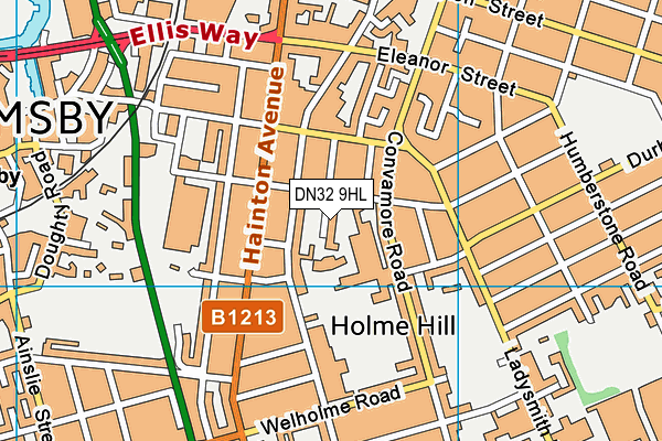 Edward Heneage Primary Academy map (DN32 9HL) - OS VectorMap District (Ordnance Survey)