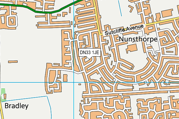 DN33 1JE map - OS VectorMap District (Ordnance Survey)