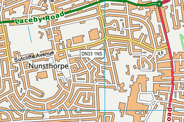 DN33 1NS map - OS VectorMap District (Ordnance Survey)