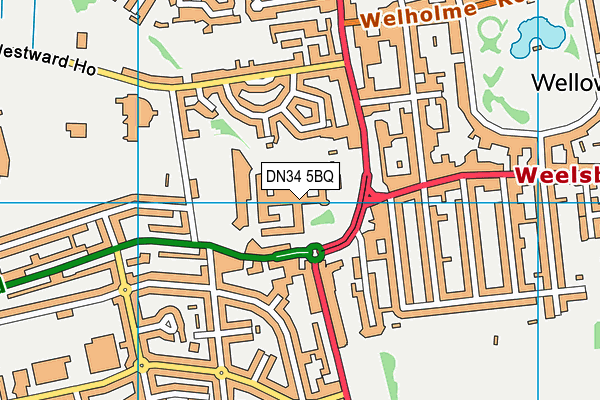 Grimsby Institute map (DN34 5BQ) - OS VectorMap District (Ordnance Survey)