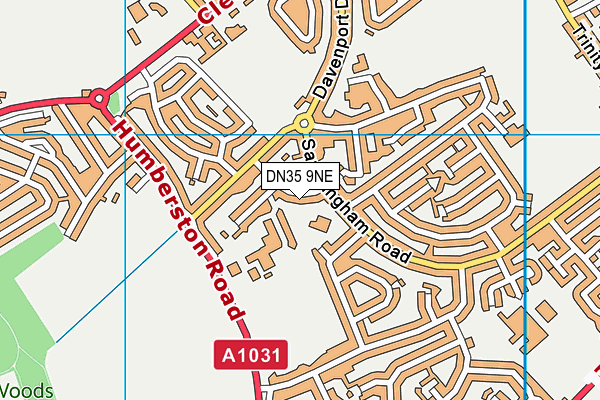 DN35 9NE map - OS VectorMap District (Ordnance Survey)