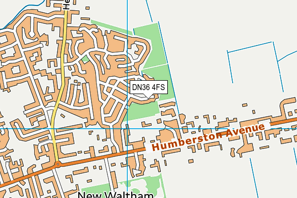 DN36 4FS map - OS VectorMap District (Ordnance Survey)