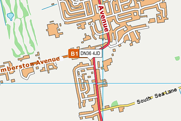 DN36 4JD map - OS VectorMap District (Ordnance Survey)