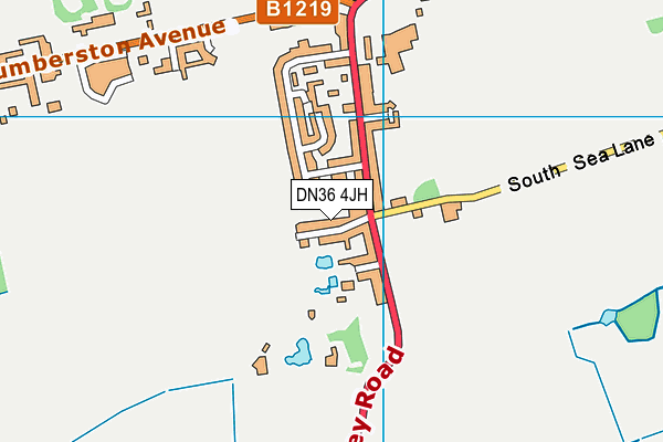 DN36 4JH map - OS VectorMap District (Ordnance Survey)