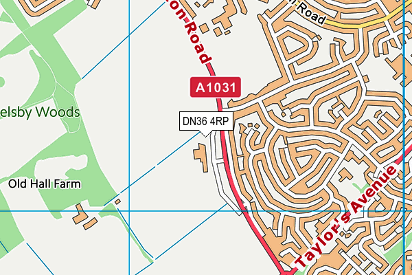 DN36 4RP map - OS VectorMap District (Ordnance Survey)