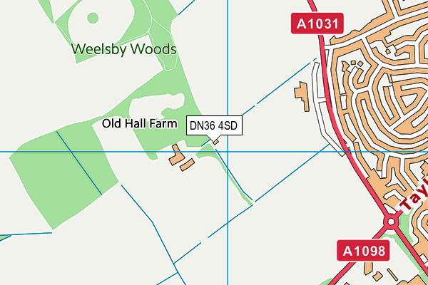 DN36 4SD map - OS VectorMap District (Ordnance Survey)