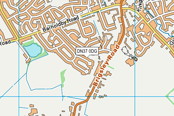 DN37 0DG map - OS VectorMap District (Ordnance Survey)