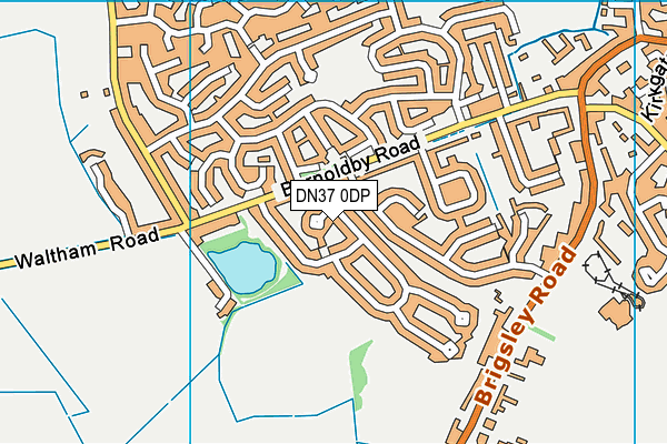 DN37 0DP map - OS VectorMap District (Ordnance Survey)