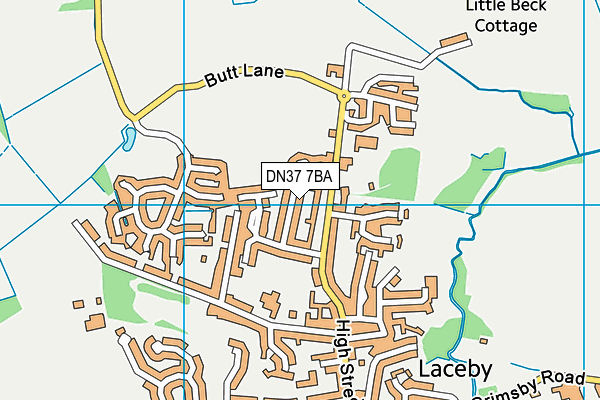 Butt Lane Playing Field map (DN37 7BA) - OS VectorMap District (Ordnance Survey)