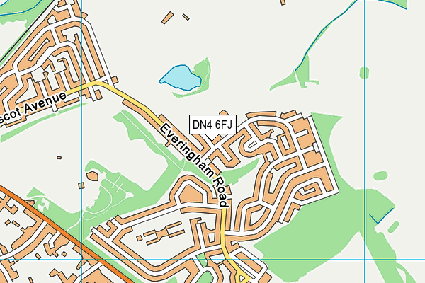 DN4 6FJ map - OS VectorMap District (Ordnance Survey)