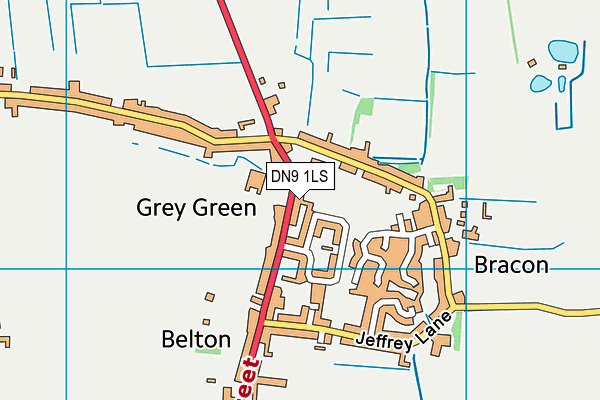 DN9 1LS map - OS VectorMap District (Ordnance Survey)