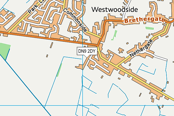 DN9 2DY map - OS VectorMap District (Ordnance Survey)